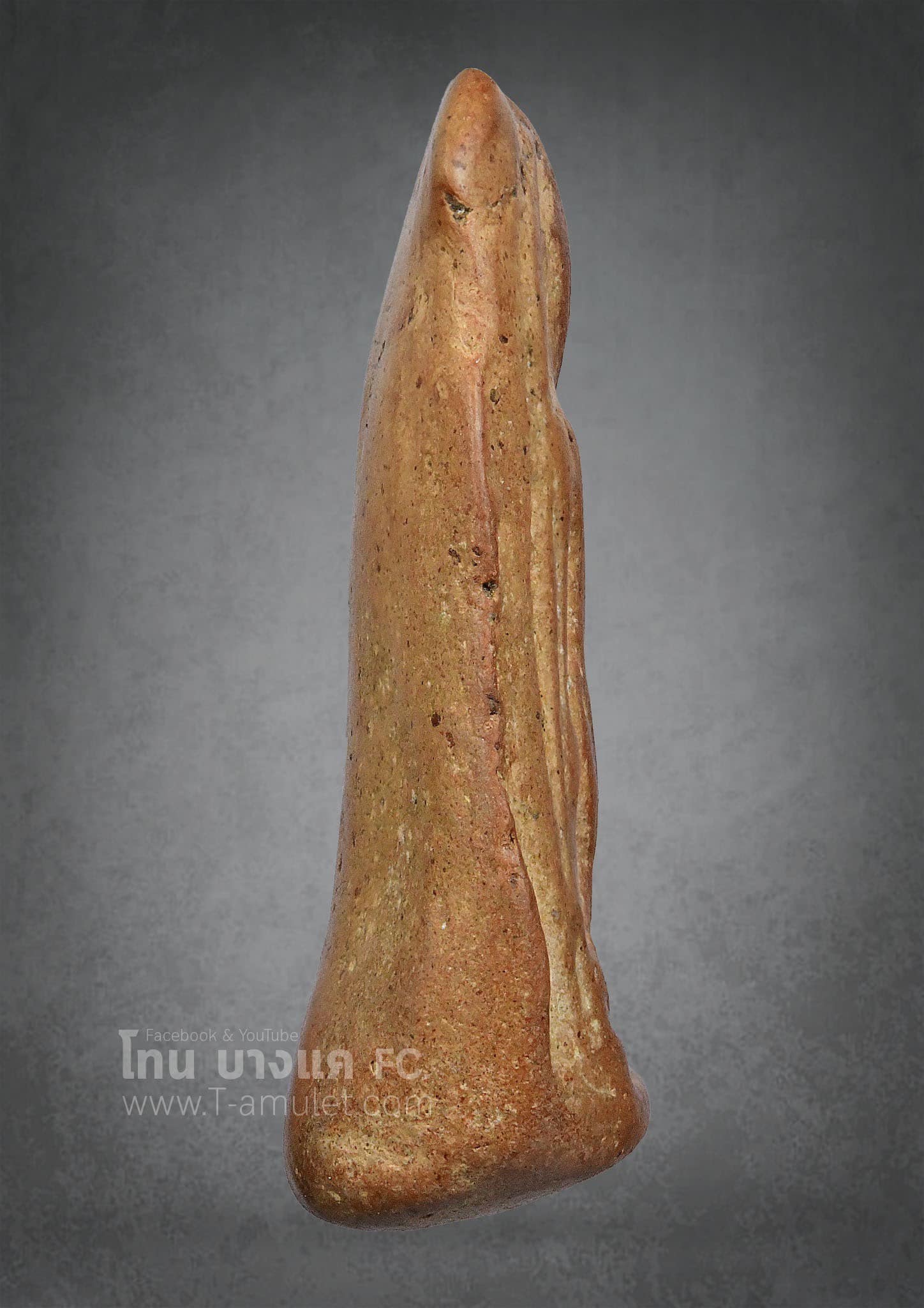 323432523_755034969317771_4369203472081723921_n