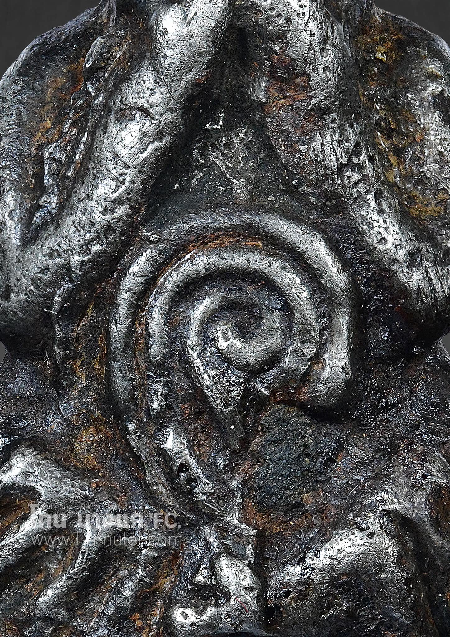 324742562_879835519808396_7844124224521887877_n