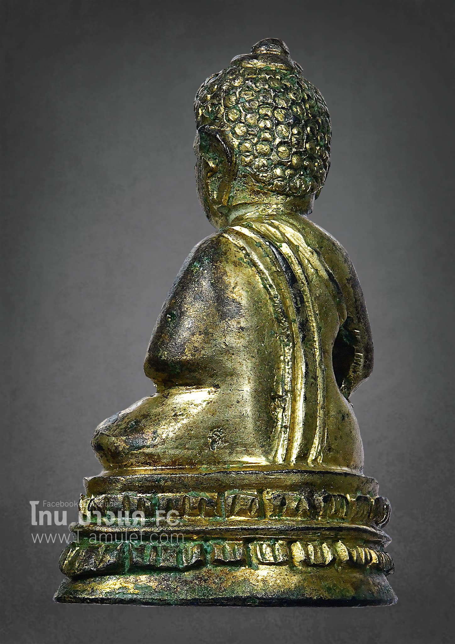 325166501_559352945814142_6913672291557126881_n