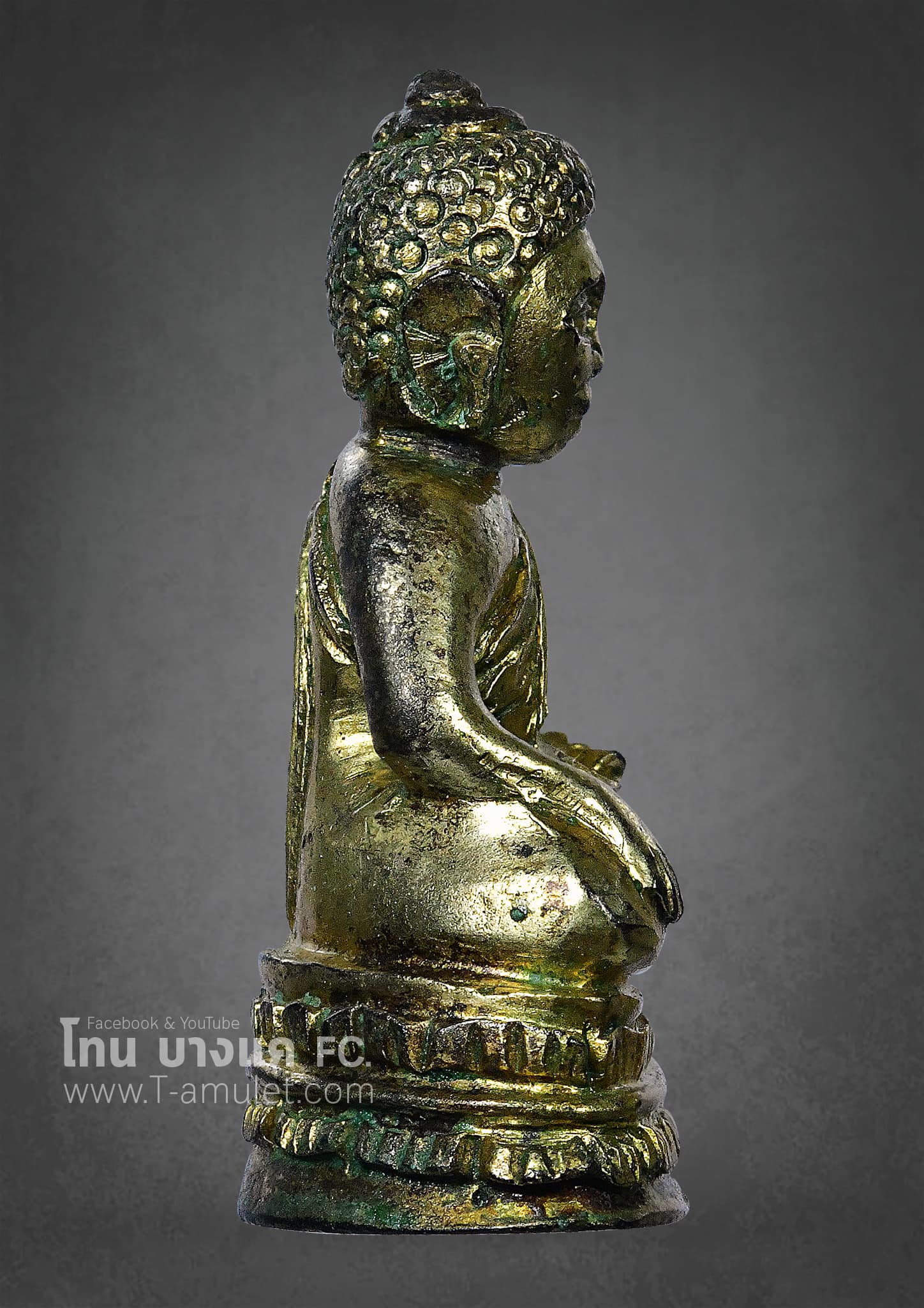 325182401_485245490226249_8059266584232435948_n