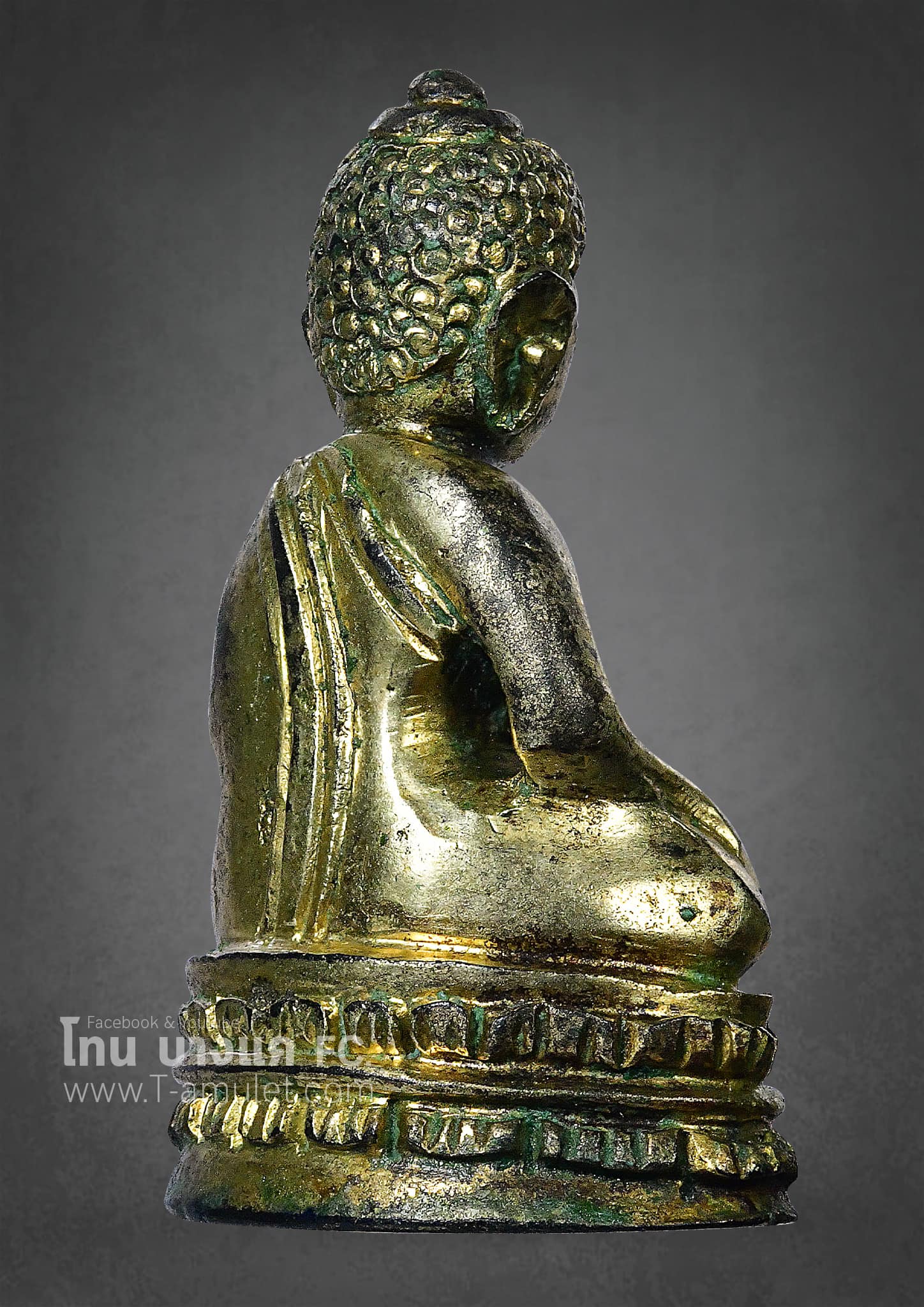 325244527_768916981267424_8759306619187290903_n