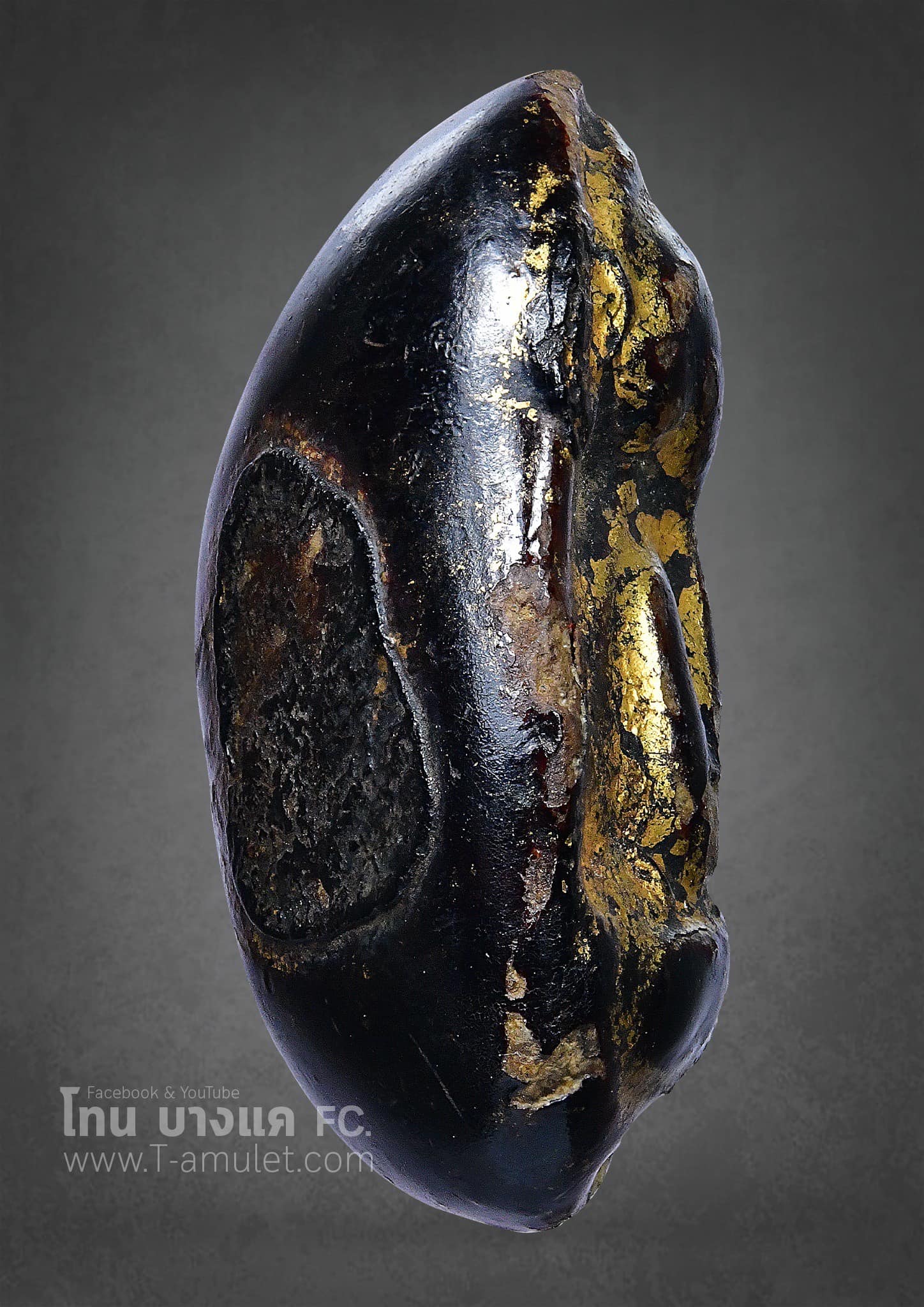 325879441_581001717199195_5135946209710590358_n