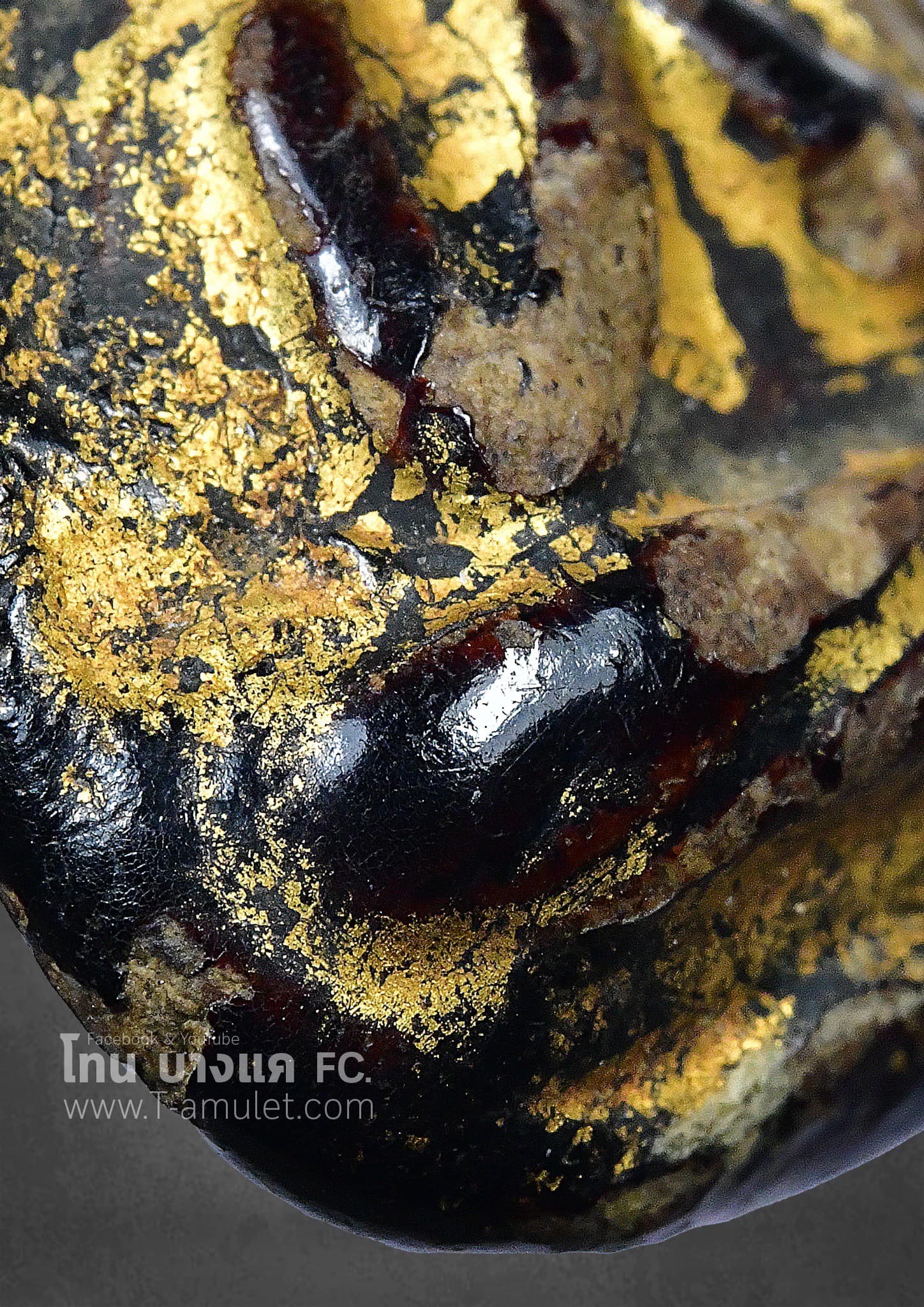 325920138_1297468300813486_6030120926655706562_n