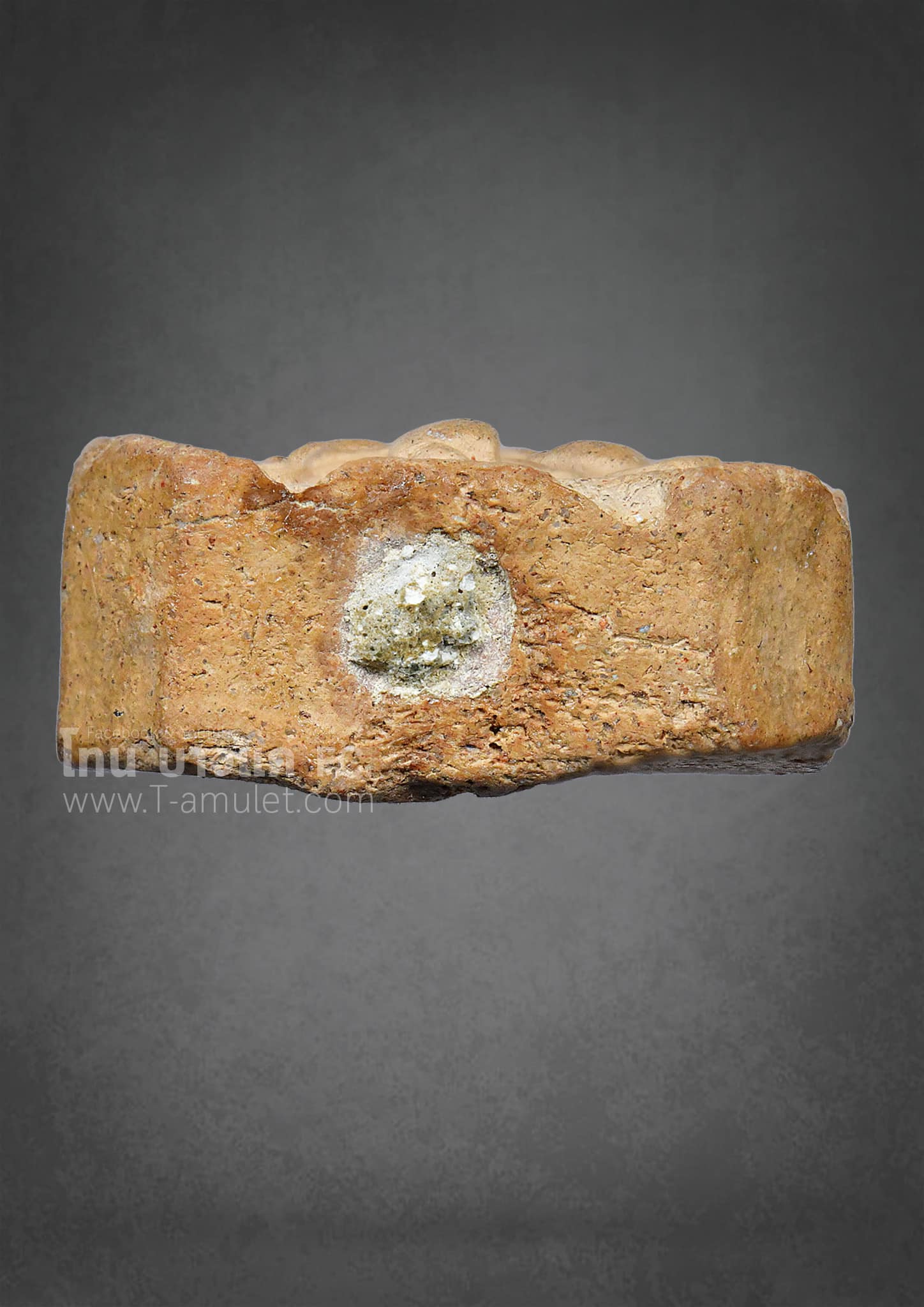 326454609_907352337141028_6000222845921926758_n