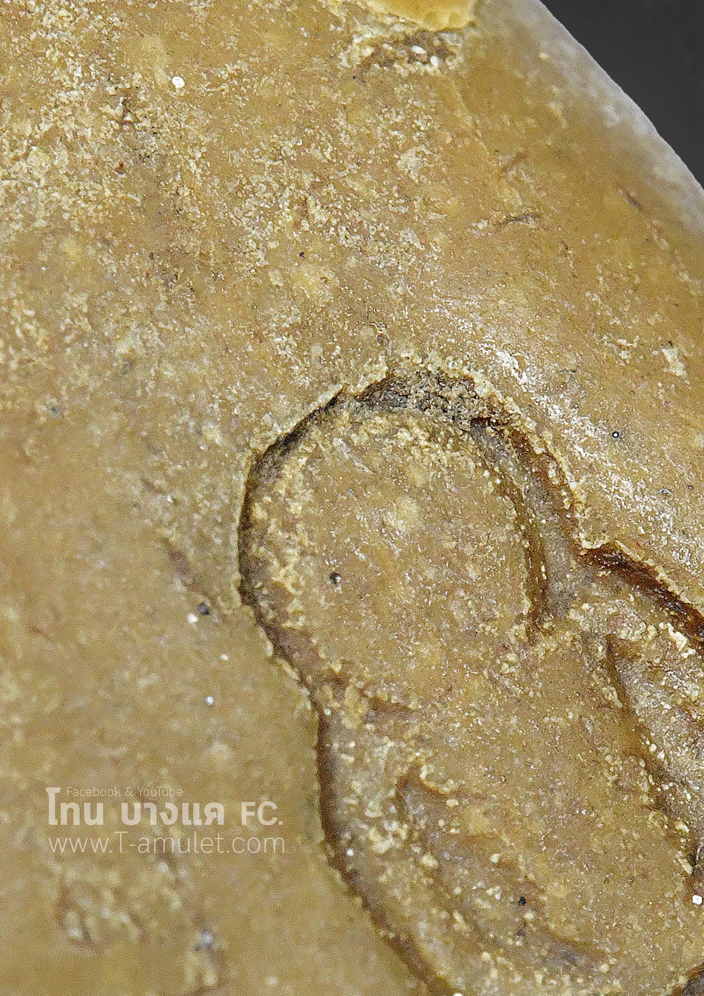 326565156_1203816590507087_2222359534488312124_n